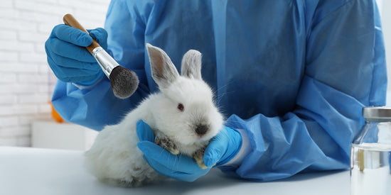 So Animal Testing is banned in the European Union?