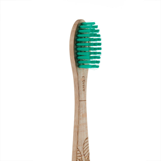 Georganics Beech Toothbrush Firm | Plastic Free | Eco-friendly Living | Sustainable Beauty | Cruelty Free | Vegan | Ethical | MEDIUM