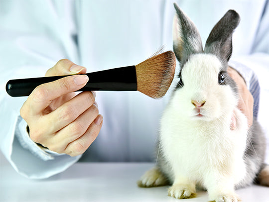 So, what is involved in animal testing?